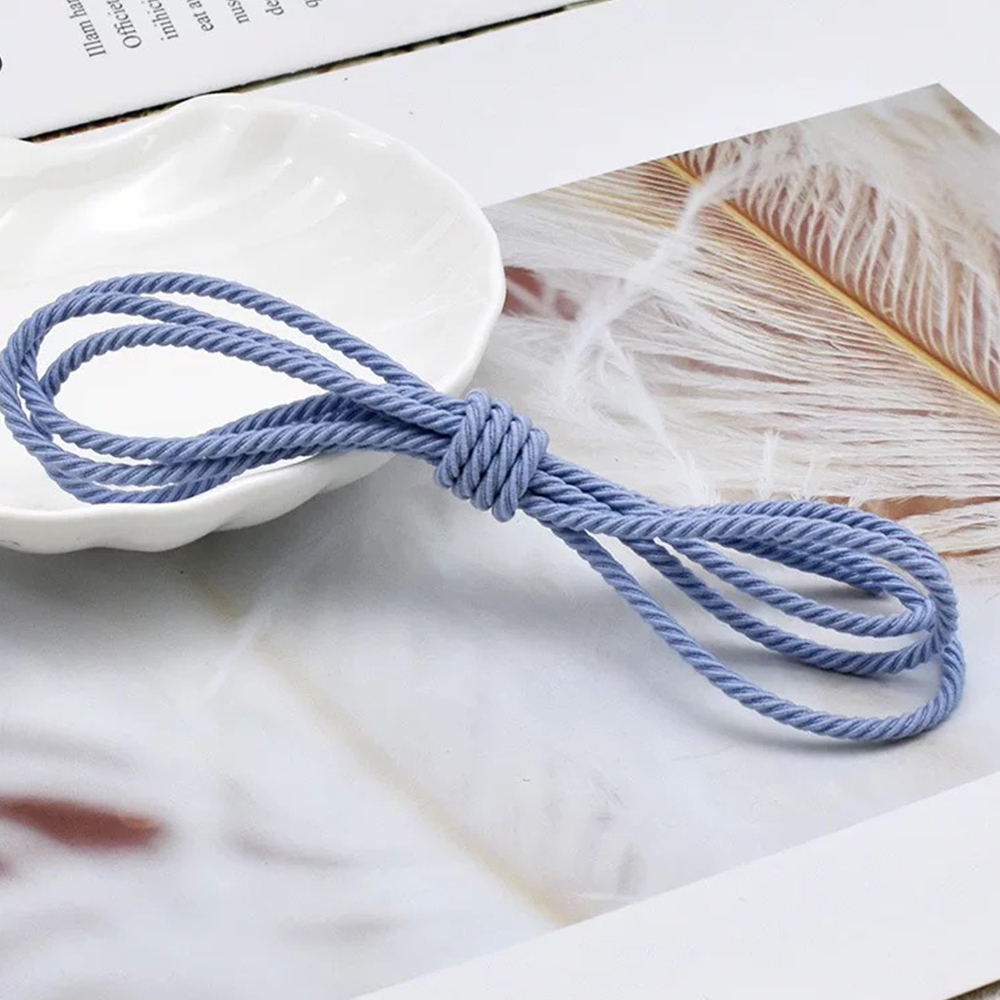 5M/Lot 2.5mm Elastic Rope Brai - Sewing Tas review and price